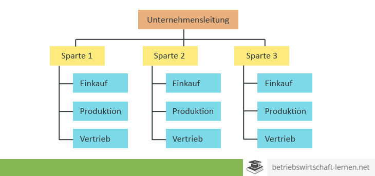 Spartenorganisation