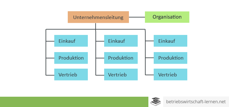 Stablinienorganisation